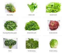 Rau, củ, quả tươi